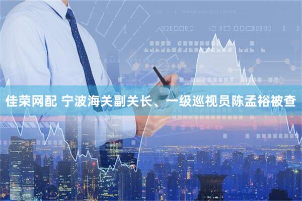 佳荣网配 宁波海关副关长、一级巡视员陈孟裕被查