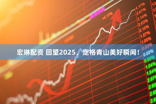 宏琳配资 回望2025，定格青山美好瞬间！