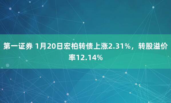 第一证券 1月20日宏柏转债上涨2.31%，转股溢价率12.14%
