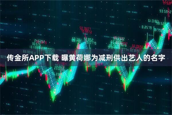 传金所APP下载 曝黄荷娜为减刑供出艺人的名字