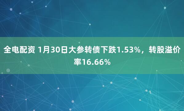 全电配资 1月30日大参转债下跌1.53%，转股溢价率16.66%
